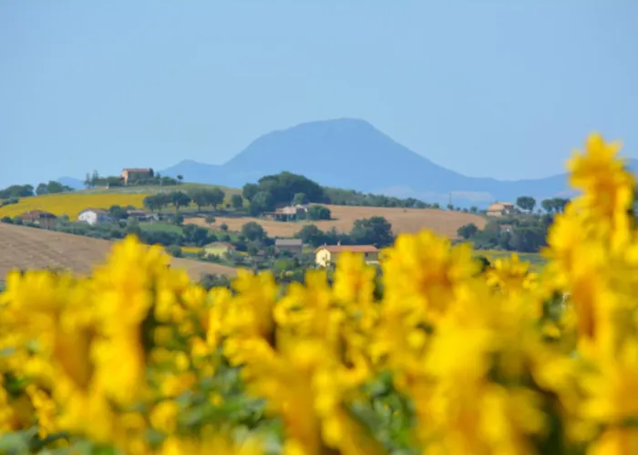 Casale Dei Cinque Colli