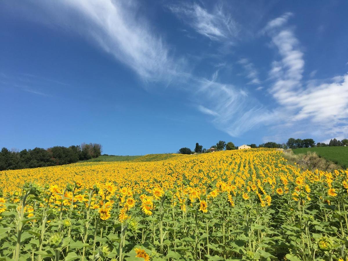 Farm stay Casale Dei Cinque Colli Ostra