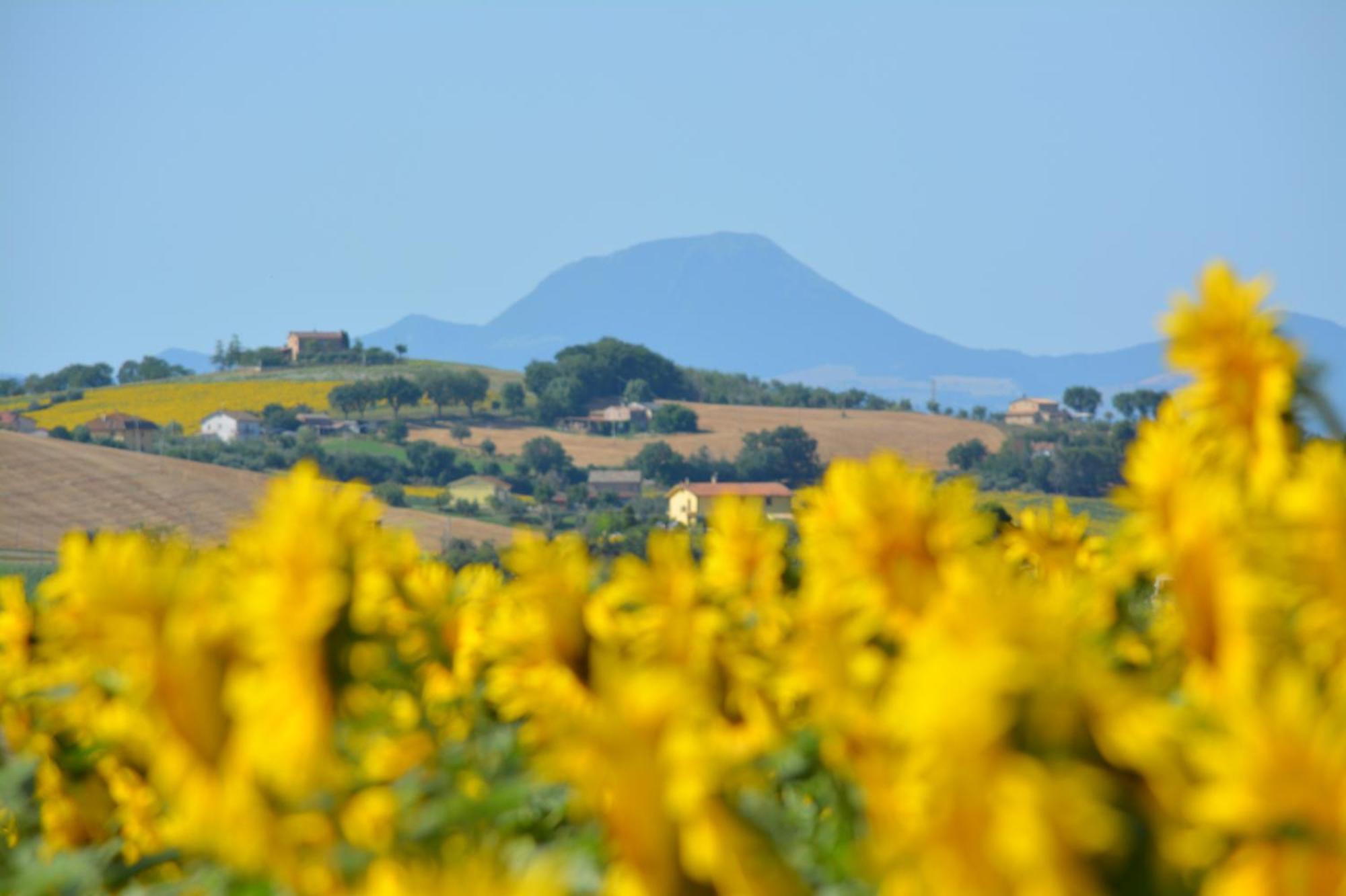 Farm stay Casale Dei Cinque Colli
