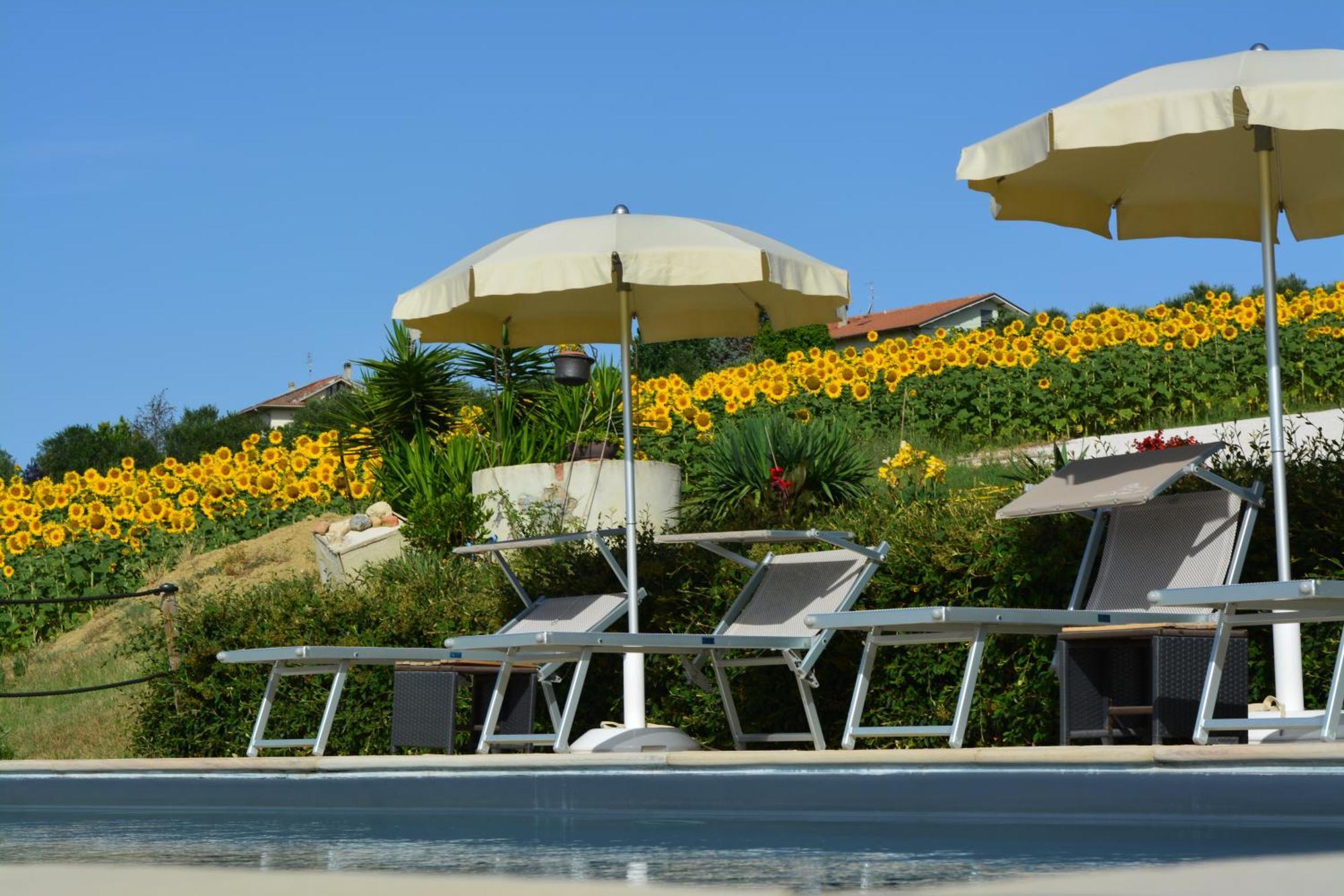 Casale Dei Cinque Colli Farm stay