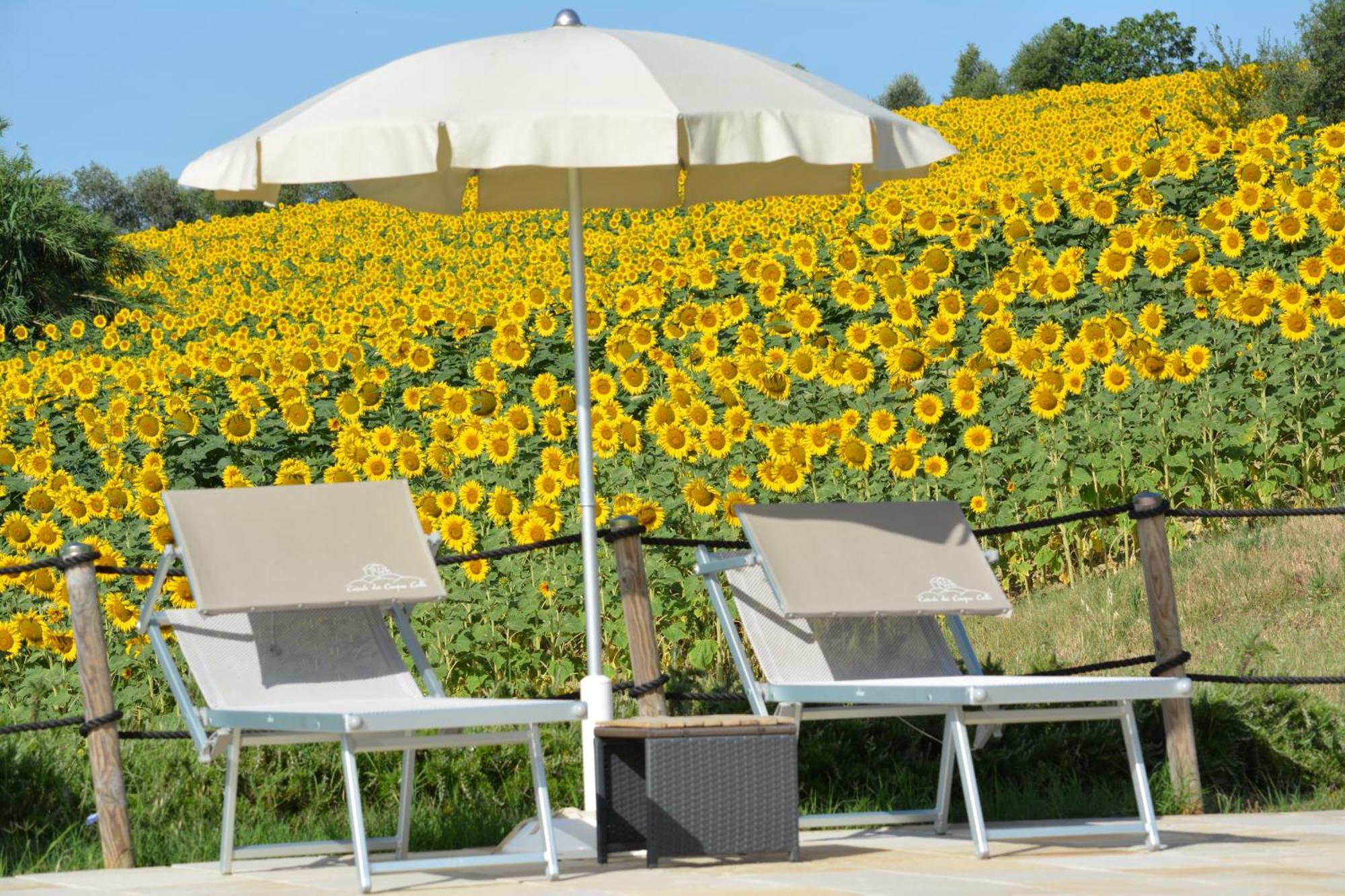 Farm stay Casale Dei Cinque Colli Ostra